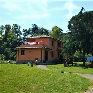 Podere 269 Castiglione della Pescaia